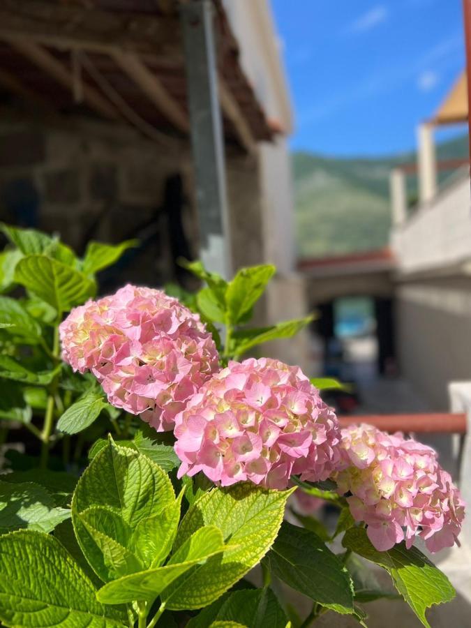 Sea Front 171 Apartment Kotor Ngoại thất bức ảnh