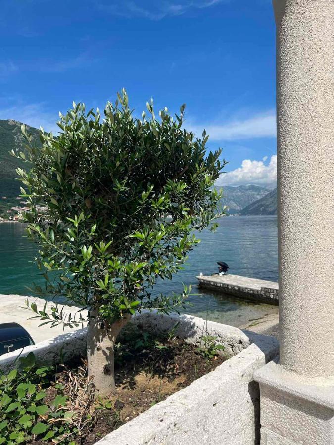 Sea Front 171 Apartment Kotor Ngoại thất bức ảnh